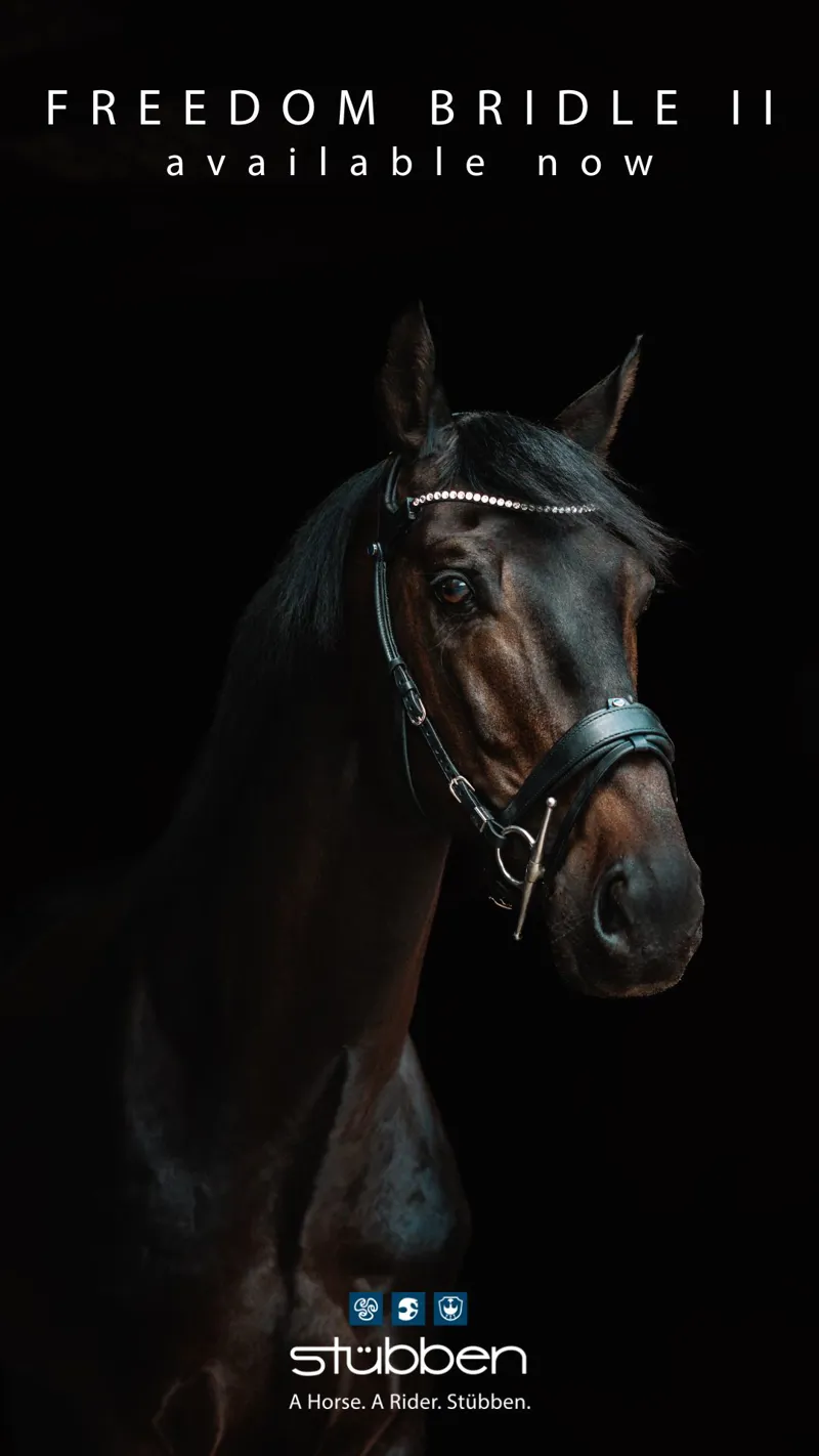 Stubben Freedom II Snaffle Bridle with Magic Tack Browband Black-4